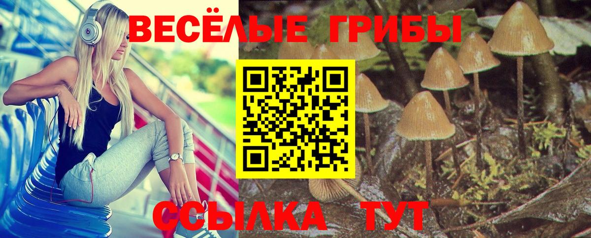 Галлюциногенные грибы Magic Shrooms  Вход с VPN  Серпухов  Галлюциногенные грибы мухоморы 