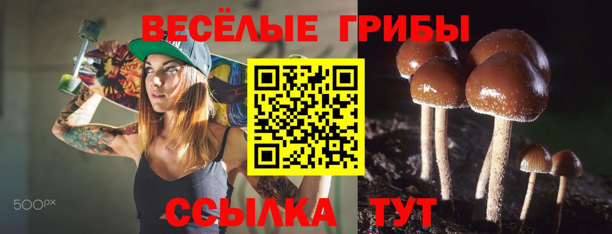 Галлюциногенные грибы ЛСД Серпухов